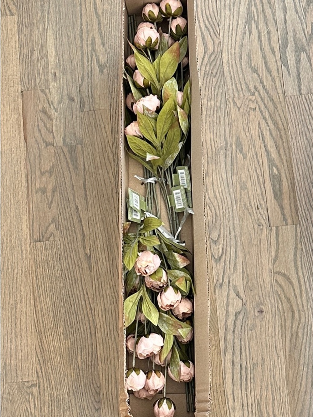 Viral Michaels Ashland Tan Peonies - Set of 8 Stems NEW IN BOX